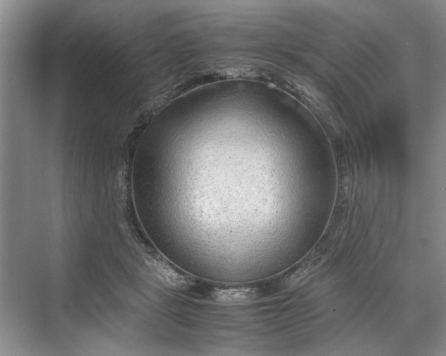 X0000070210461200606091629