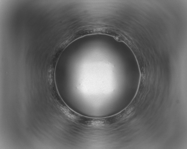 X0000070210462200606091629