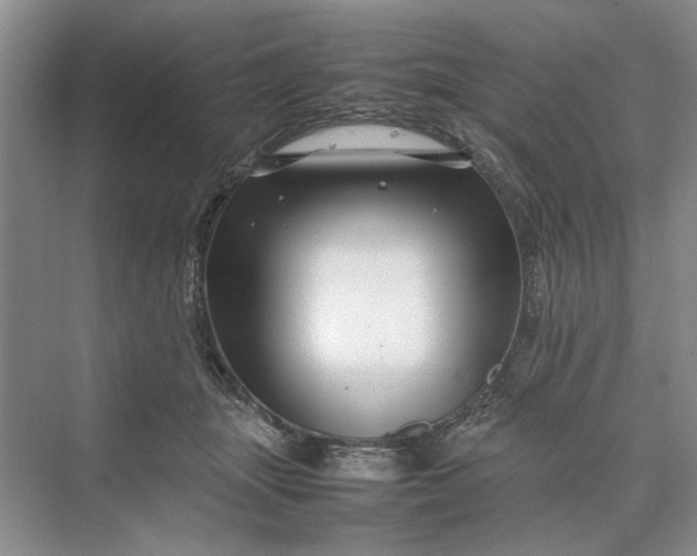 X0000070210463200606091629