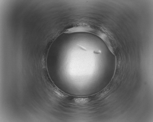 X0000070210465200606091629