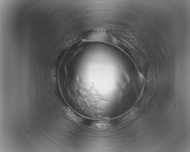 X0000070210466200606091629