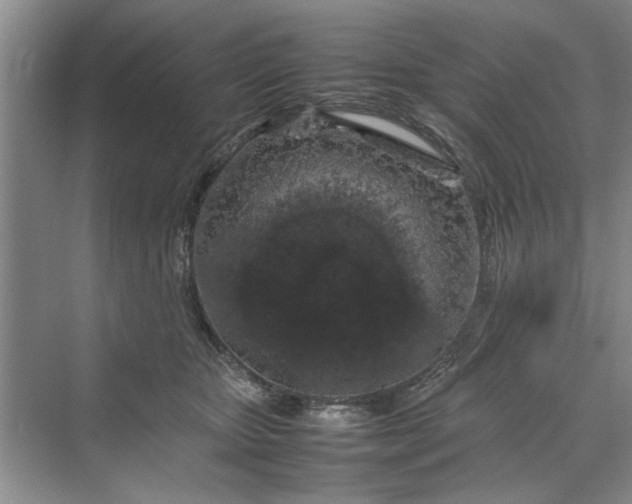 X0000070210467200606091629