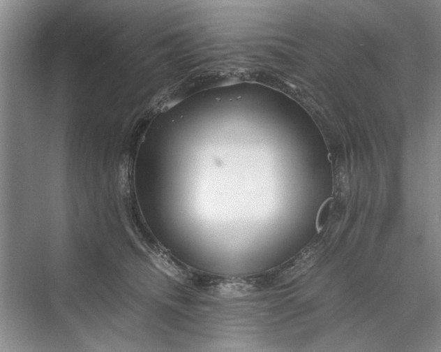 X0000070210468200606091629