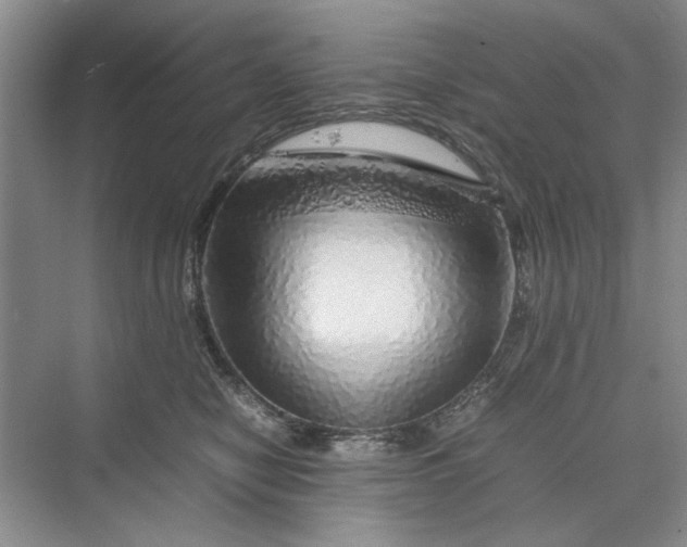 X0000070210470200606091629