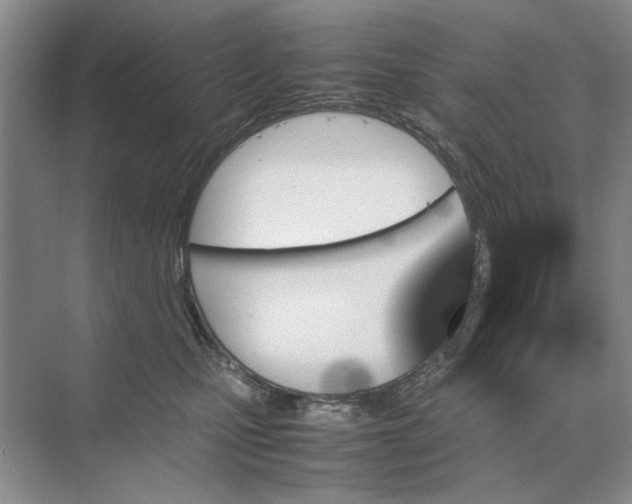 X0000070210471200606091629