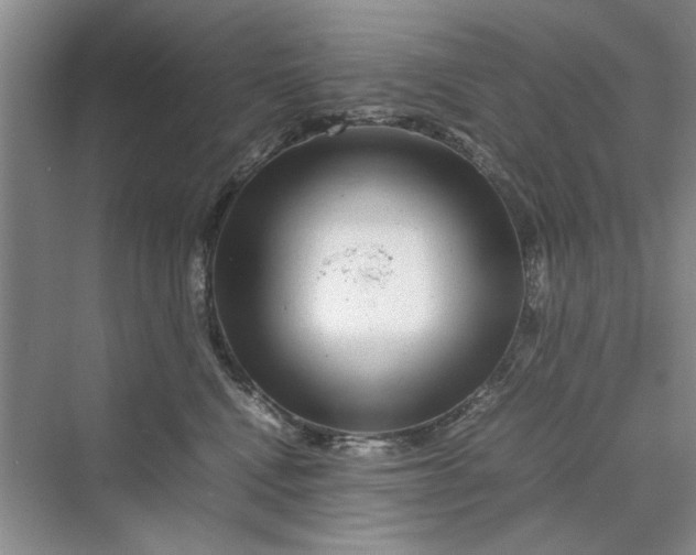 X0000070210472200606091629