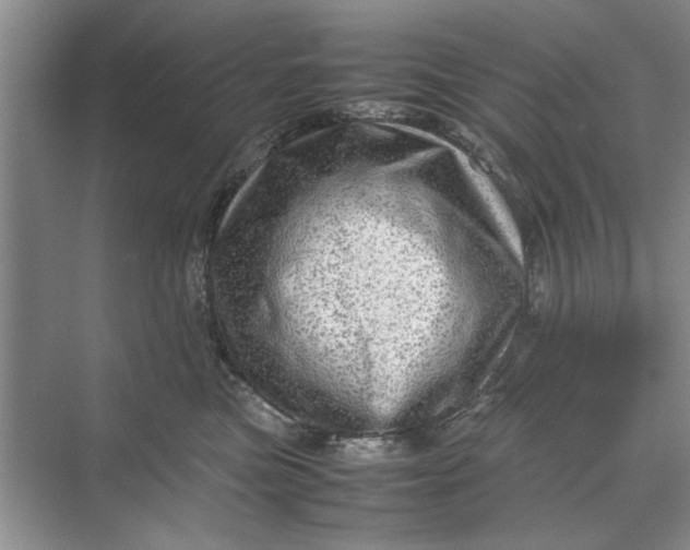 X0000070210473200606091629