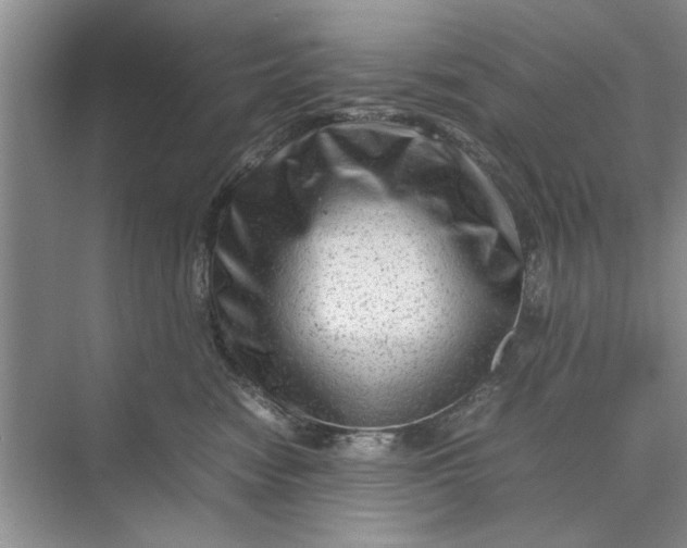 X0000070210474200606091629