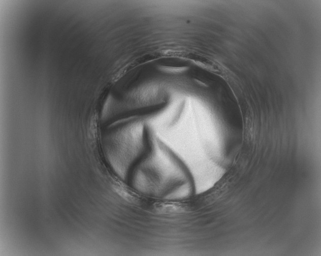 X0000070210475200606091629