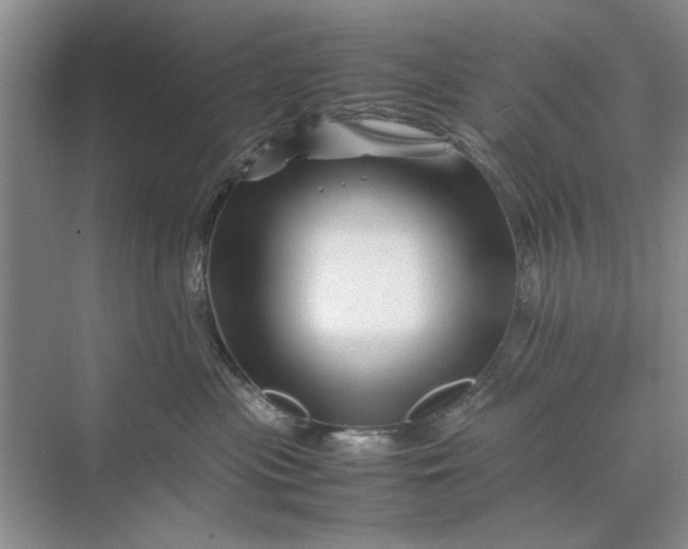 X0000070210477200606091629