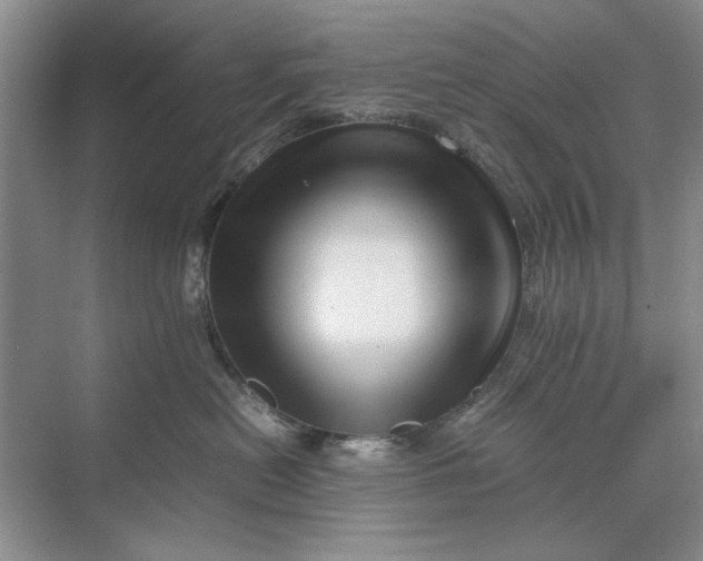 X0000070210478200606091629