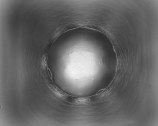 X0000070210479200606091629