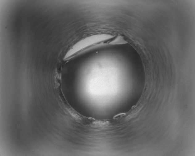 X0000070210480200606091629