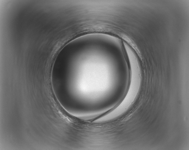 X0000070210481200606091628