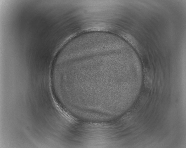 X0000070210482200606091628