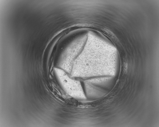 X0000070210484200606091628