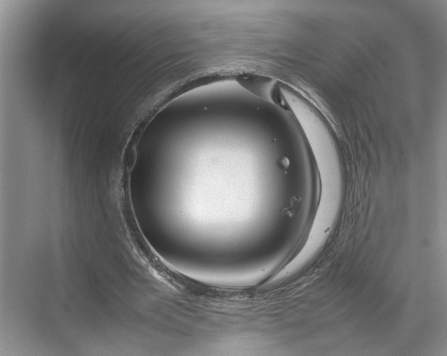 X0000070210485200606091628