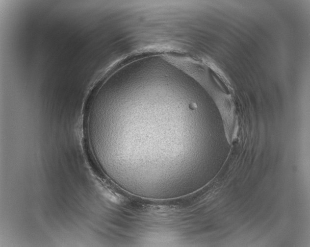 X0000070210486200606091628