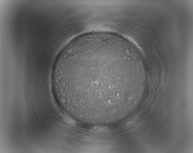 X0000070210487200606091628