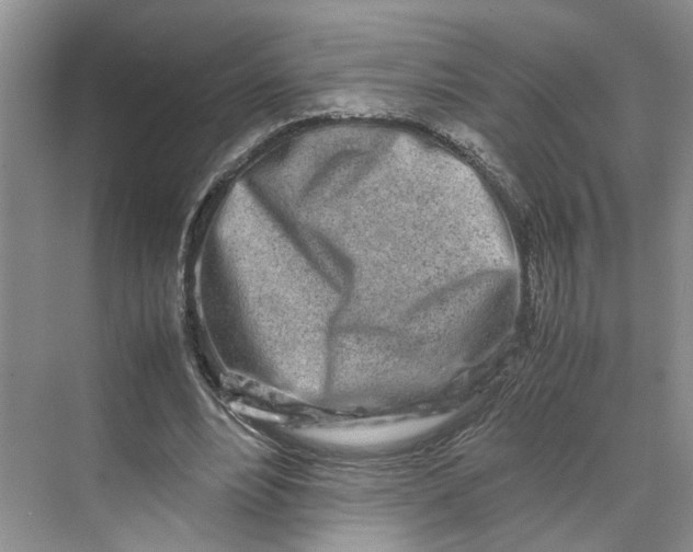 X0000070210488200606091628