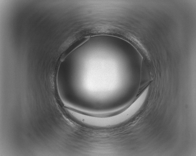 X0000070210489200606091628