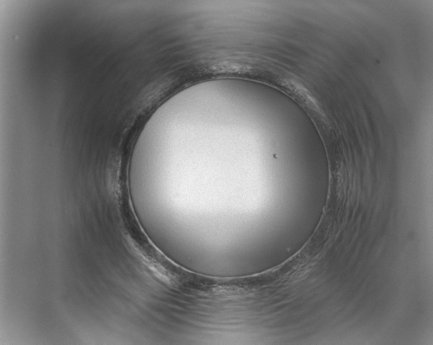 X0000070210490200606091628