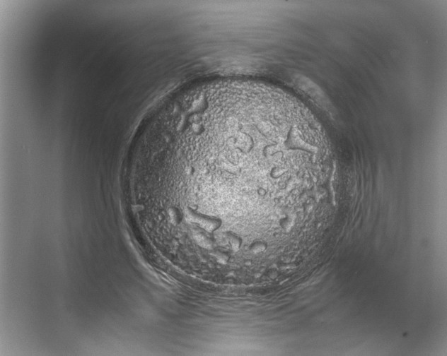 X0000070210491200606091628