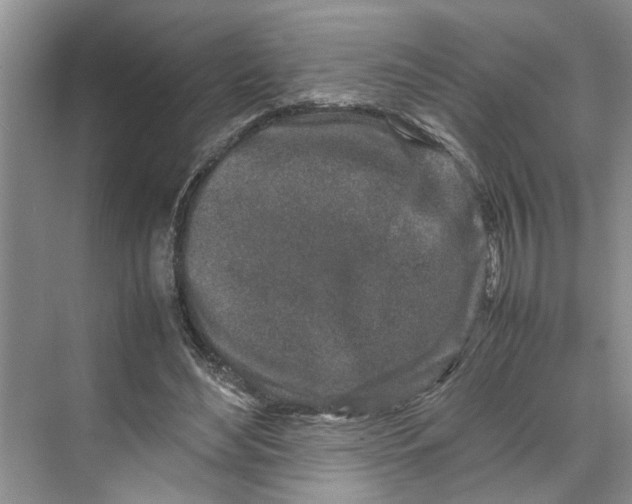 X0000070210492200606091628