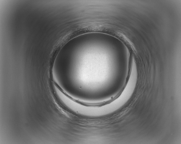 X0000070210493200606091628