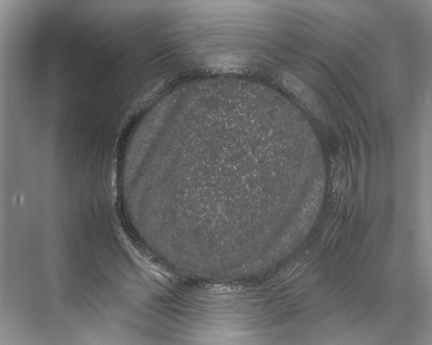 X0000070210494200606091628