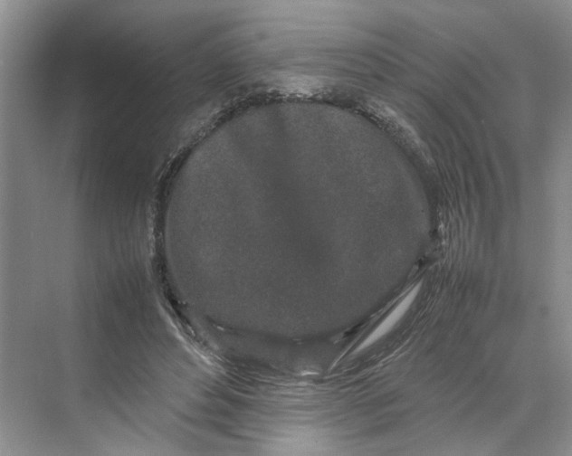 X0000070210496200606091628