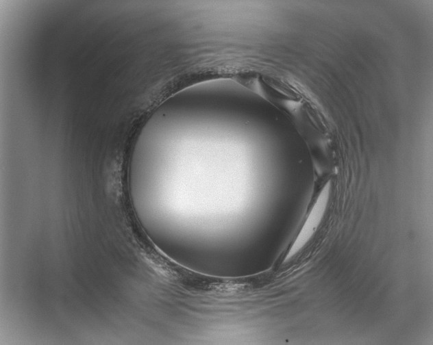 X0000070210497200606091628