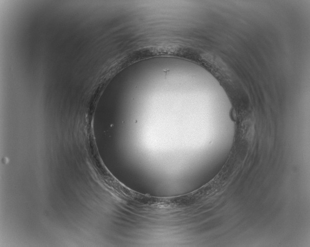 X0000070210498200606091628