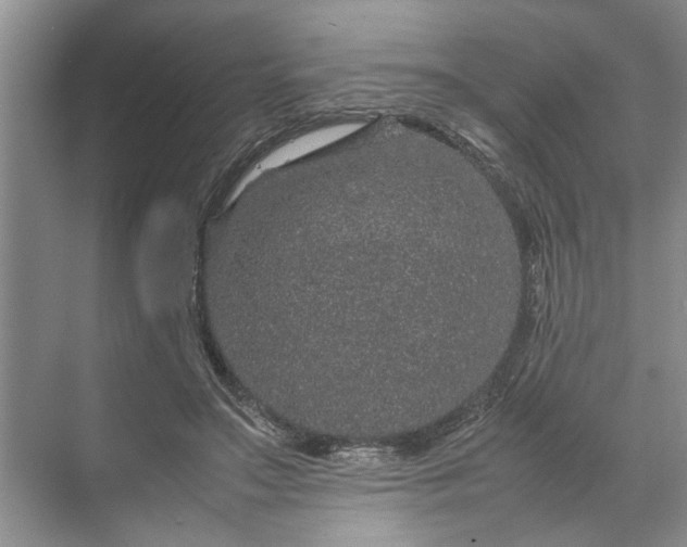 X0000070210499200606091628