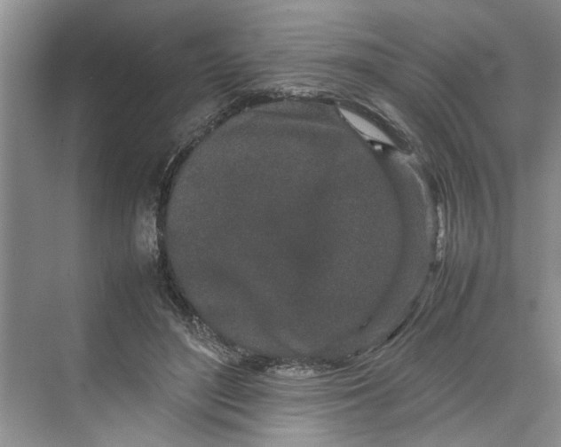 X0000070210500200606091628