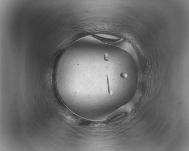 X0000070210501200606091628