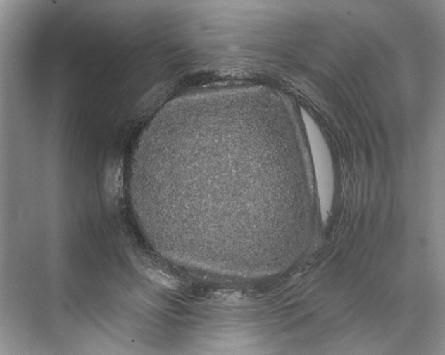 X0000070210502200606091628