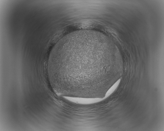 X0000070210503200606091628