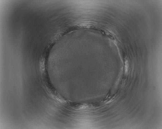 X0000070210504200606091628