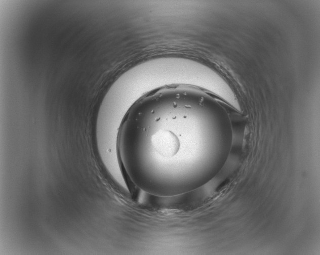 X0000070210505200606091628