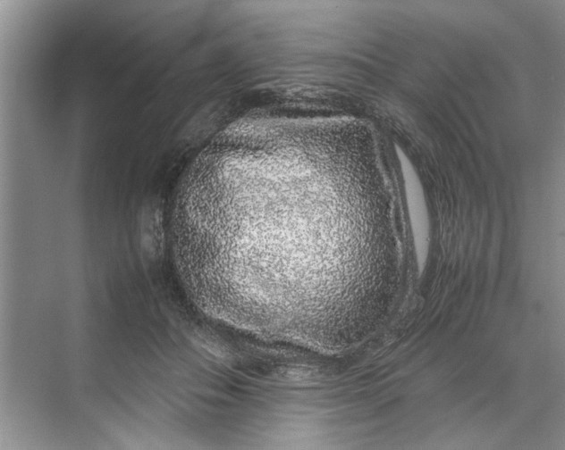 X0000070210506200606091628