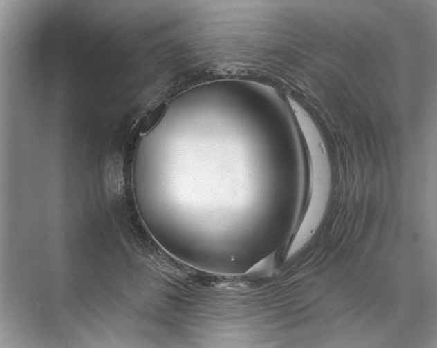 X0000070210508200606091628