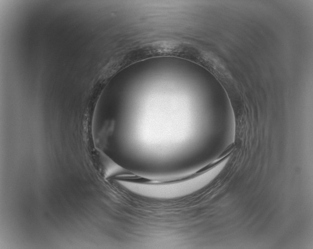 X0000070210509200606091628