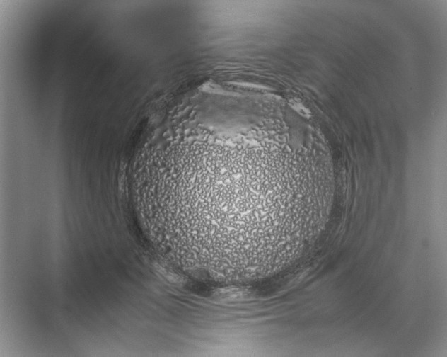 X0000070210511200606091628