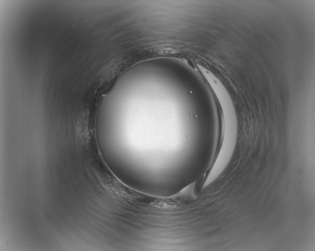 X0000070210512200606091628