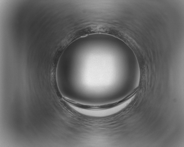 X0000070210513200606091628