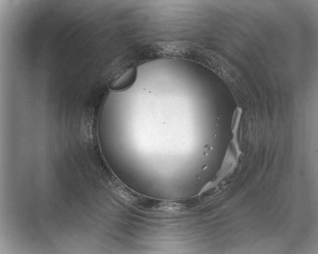 X0000070210514200606091628