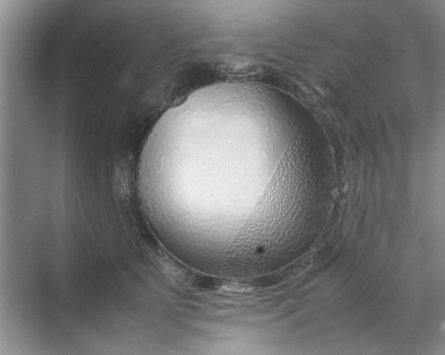 X0000070210515200606091628