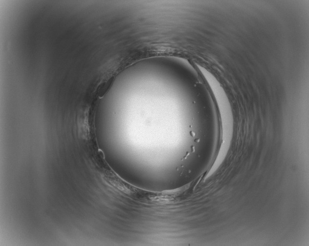 X0000070210516200606091628