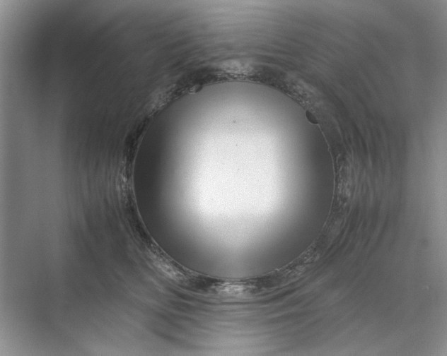 X0000070210518200606091628